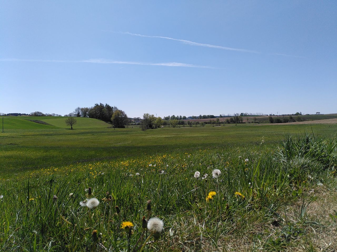 Wiesen im Ecknachtal