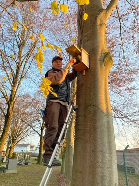 Pflege der Nistkästen am Neuen Friedhof