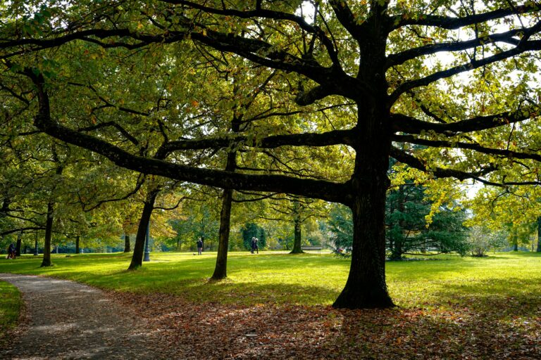 Umweltschutz ist Menschenschutz – Lebensqualität sichern