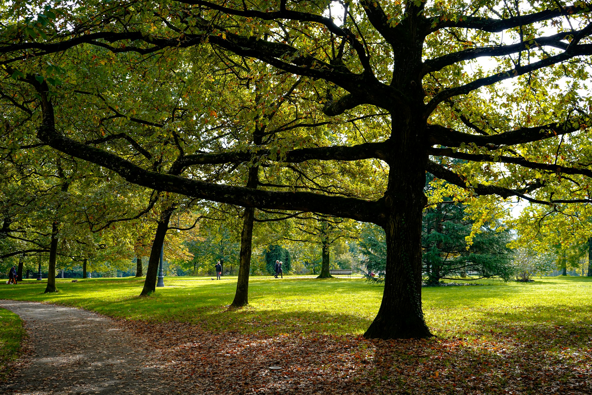 Umweltschutz ist Menschenschutz – Lebensqualität sichern