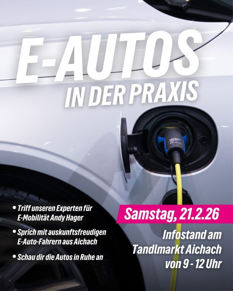 E-Autos in der Praxis