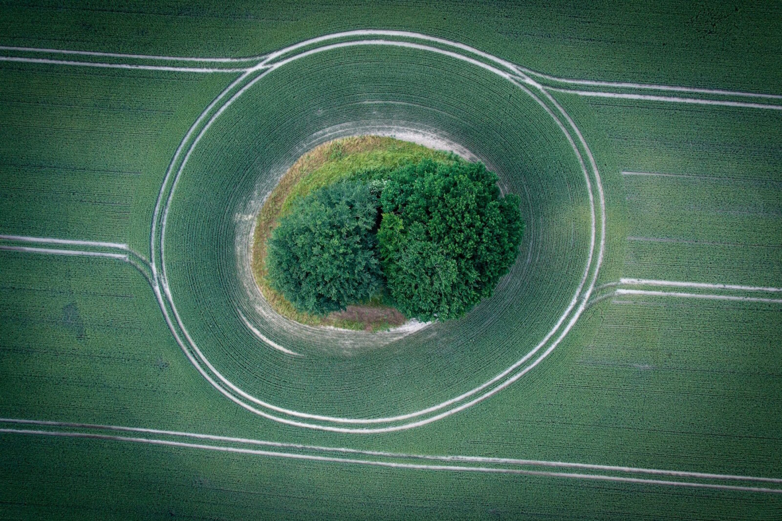 Eine grüne Wiese mit einem Loch darin