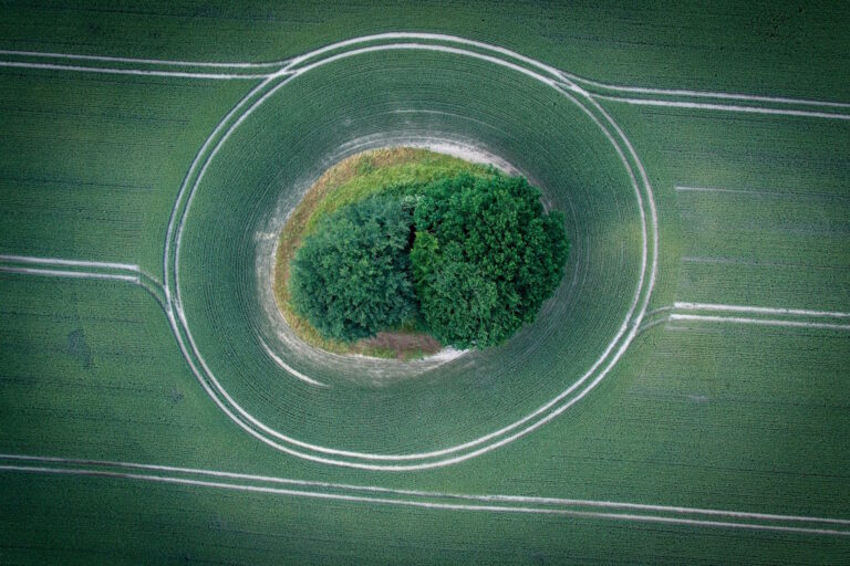 Umwelt, Naturschutz und Sicherheit: Unsere Heimat bewahren und schützen