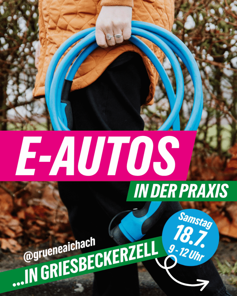 E-Autos in der Praxis – Infostand in Griesbeckerzell