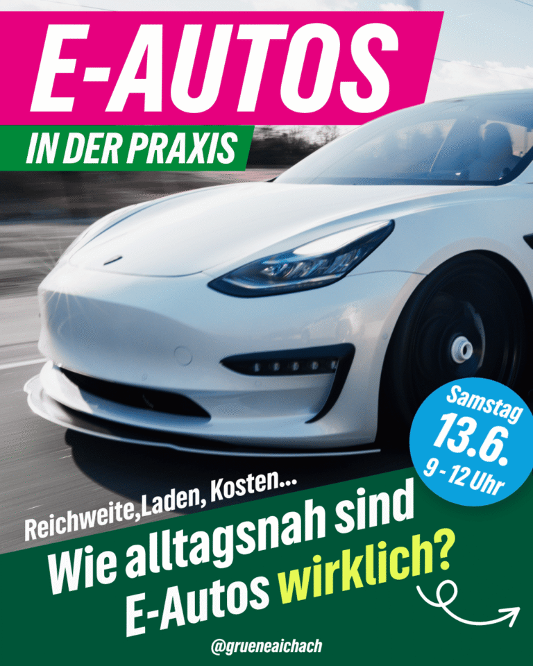 E-Autos in der Praxis